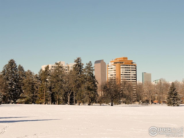 1265 Race St Unit 408, Denver, CO 80206