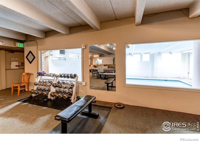 1265 Race St Unit 408, Denver, CO 80206