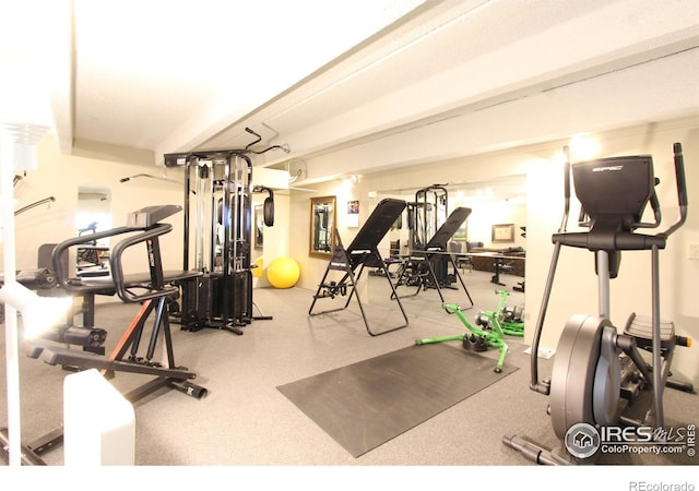 1265 Race St Unit 408, Denver, CO 80206