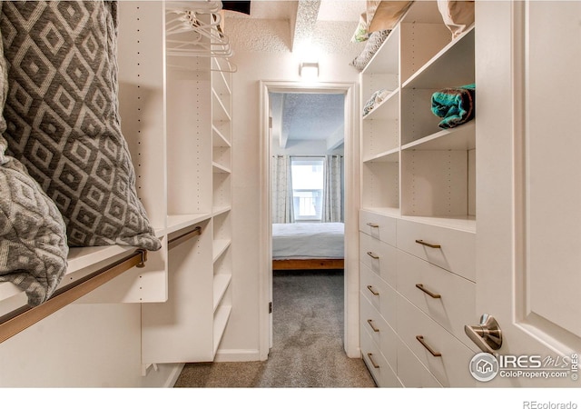 1265 Race St Unit 408, Denver, CO 80206
