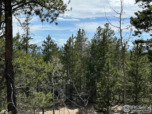 4911 Storm Mountain Dr, Drake, CO 80515 - view of wooded area