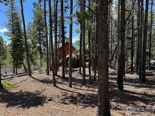 4911 Storm Mountain Dr, Drake, CO 80515 - view of undeveloped land