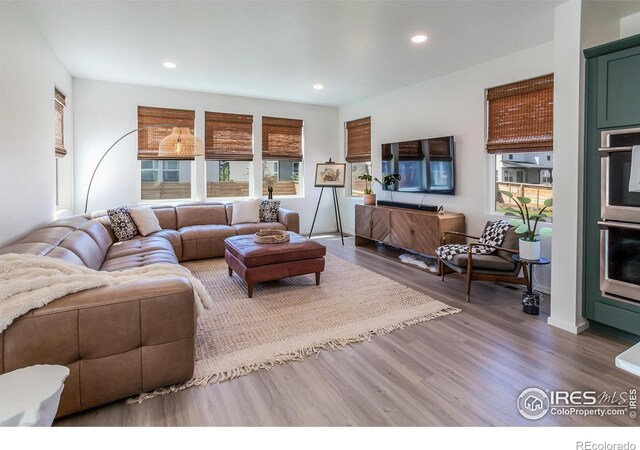 2951 Barnstormer St, Fort Collins, CO 80524 - photo 5