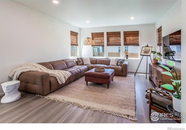 2951 Barnstormer St, Fort Collins, CO 80524 - photo 6