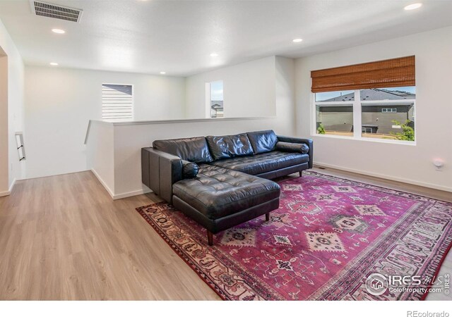 2951 Barnstormer St, Fort Collins, CO 80524 - photo 17