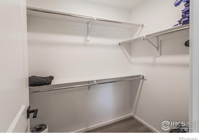 2951 Barnstormer St, Fort Collins, CO 80524 - photo 22