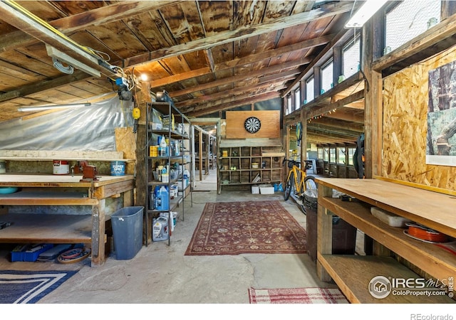 4743 Jay Rd, Boulder, CO 80301 - basement with a workshop area and wood ceiling