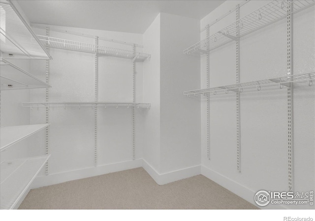 spacious closet with carpet floors