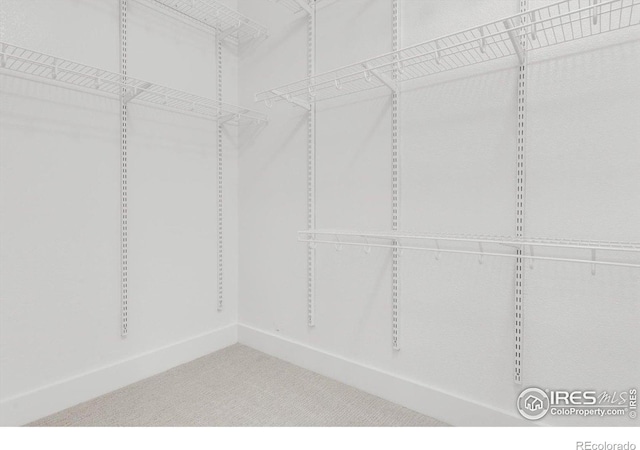 walk in closet with carpet