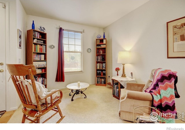 4312 Windmill Dr, Brighton, CO 80601 - living area with carpet flooring