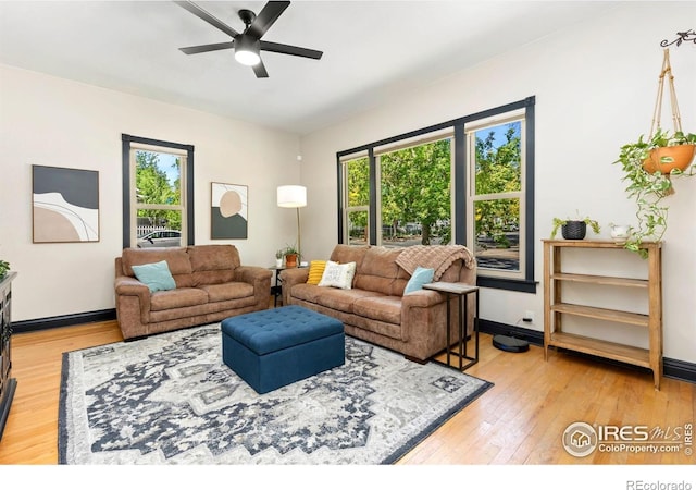 300 E Cleveland St, Lafayette, CO 80026 - living room with ceiling fan, light wood-type flooring, and baseboards