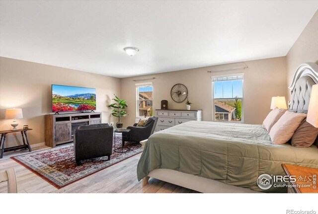 1675 Highfield Dr, Windsor, CO 80550 - photo 19