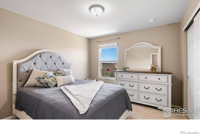1675 Highfield Dr, Windsor, CO 80550 - photo 24