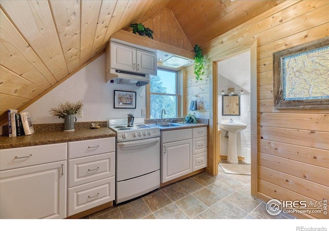 1057 Reed Ranch Rd, Boulder, CO 80302 - kitchen with white electric range oven, under cabinet range hood, vaulted ceiling, wood walls, and a sink