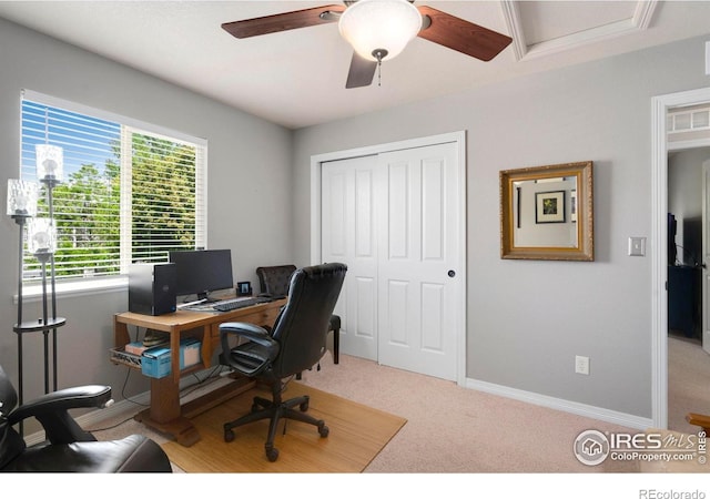 641 Yukon Ct, Windsor, CO 80550 - carpeted home office featuring a ceiling fan and baseboards
