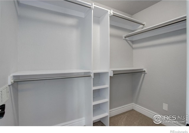 walk in closet featuring carpet