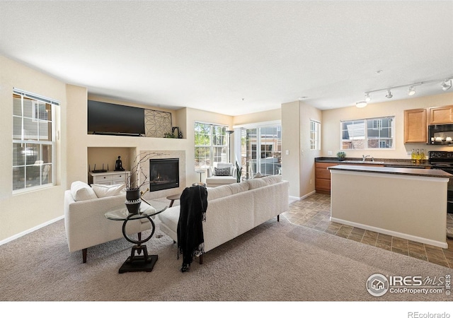 14300 Waterside Ln Unit V1, Broomfield, CO 80023 - living room with light carpet, baseboards, and a tiled fireplace