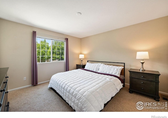 14300 Waterside Ln Unit V1, Broomfield, CO 80023 - bedroom with carpet and baseboards