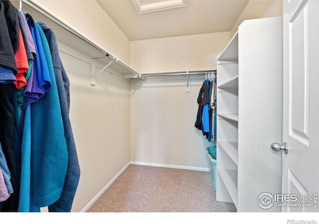 14300 Waterside Ln Unit V1, Broomfield, CO 80023 - walk in closet featuring carpet