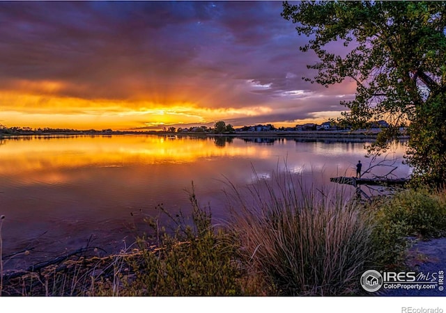 14300 Waterside Ln Unit V1, Broomfield, CO 80023 - water view
