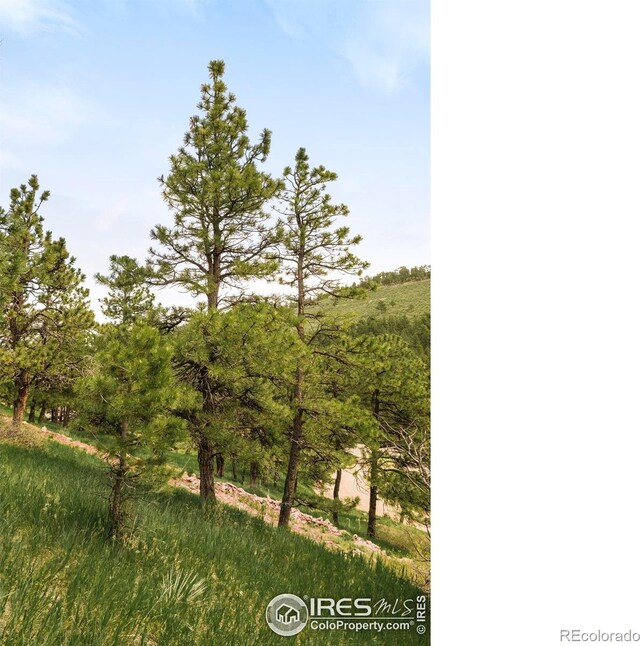 6365 Red Hill Rd, Boulder, CO 80302