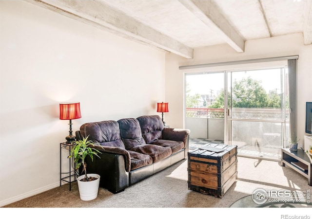 1441 N Humboldt St Unit 302, Denver, CO 80218
