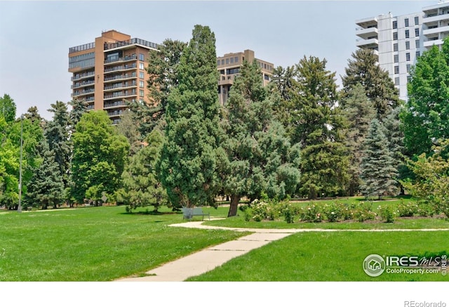 1441 N Humboldt St Unit 302, Denver, CO 80218
