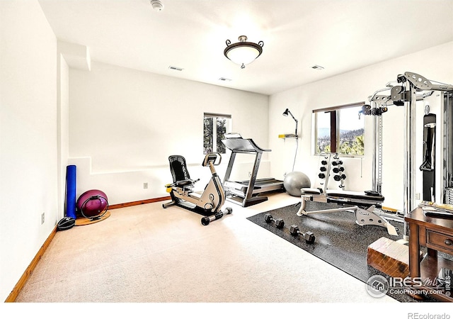 278 Clark Rd, Bailey, CO 80421 - exercise room with baseboards and carpet flooring