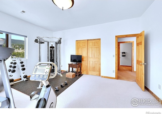 278 Clark Rd, Bailey, CO 80421 - workout area featuring baseboards