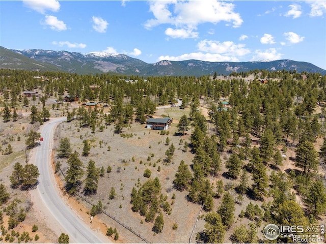 278 Clark Rd, Bailey, CO 80421