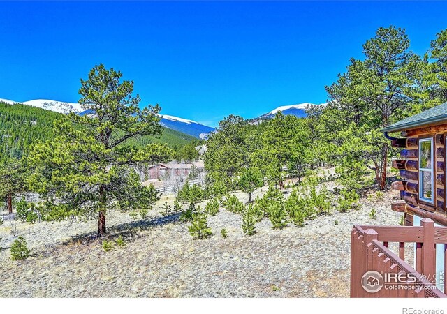 278 Clark Rd, Bailey, CO 80421
