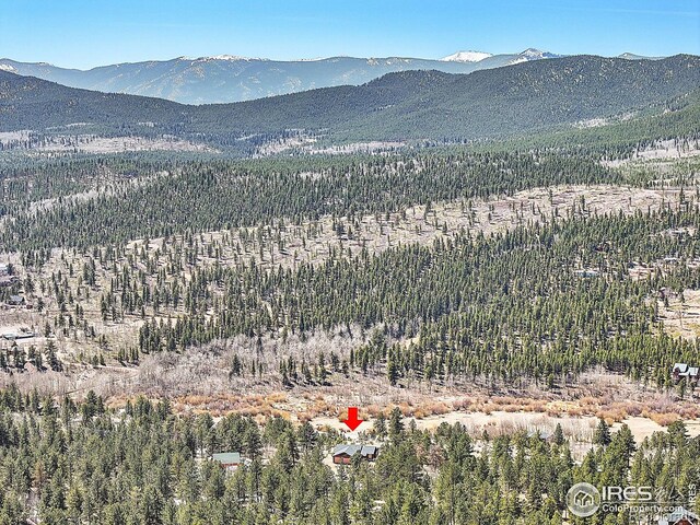 278 Clark Rd, Bailey, CO 80421