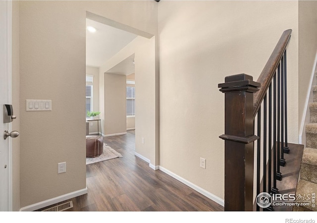 214 Tigercat Way, Fort Collins, CO 80524 - corridor with wood finished floors and baseboards