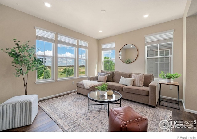 214 Tigercat Way, Fort Collins, CO 80524 - living area with wood finished floors, baseboards, and recessed lighting