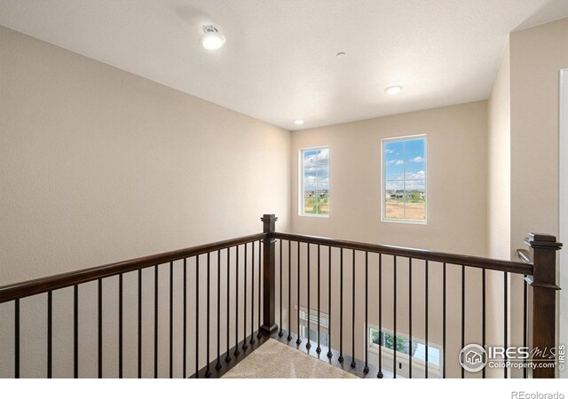 214 Tigercat Way, Fort Collins, CO 80524 - hall with carpet floors and recessed lighting