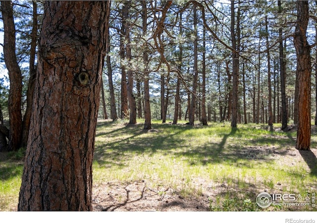 2050 Fourmile Canyon Dr, Boulder, CO 80302