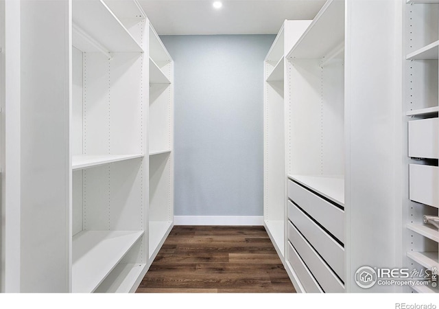 16069 Pikes Peak Dr, Broomfield, CO 80023 - spacious closet with dark wood-style flooring