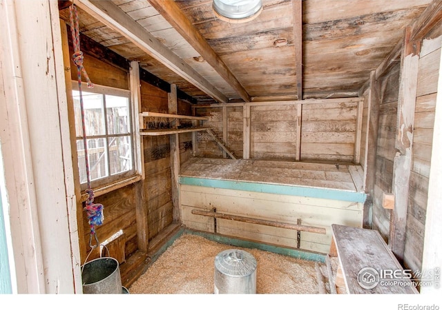 628 Endicott St, Fort Collins, CO 80524 - view of storage