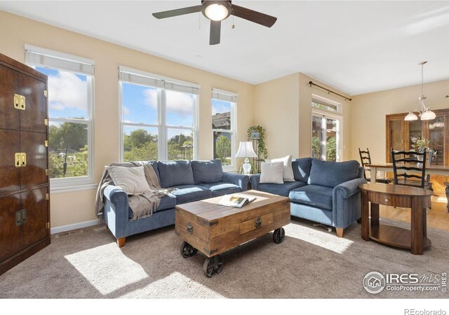 3202 Sea Gull Ct, Loveland, CO 80538
