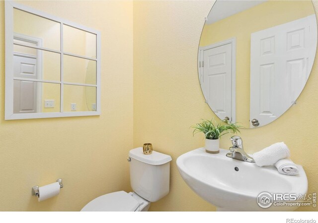 3202 Sea Gull Ct, Loveland, CO 80538