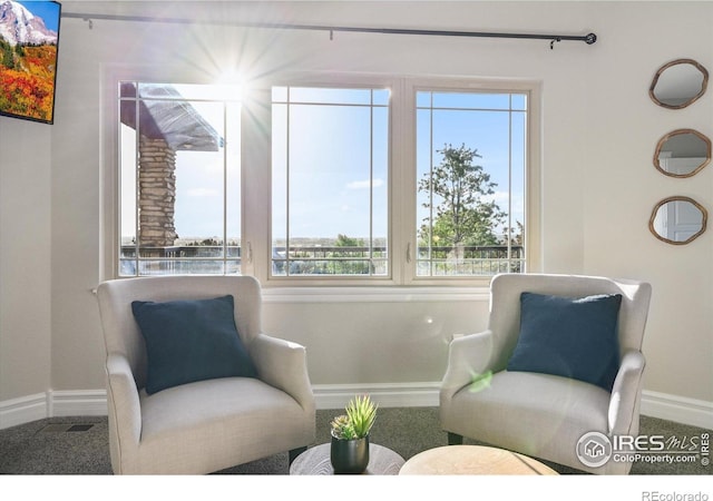 living area featuring baseboards and healthy amount of natural light