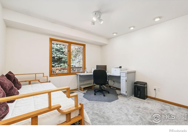 6400 Finch Ct, Fort Collins, CO 80525 - photo 16