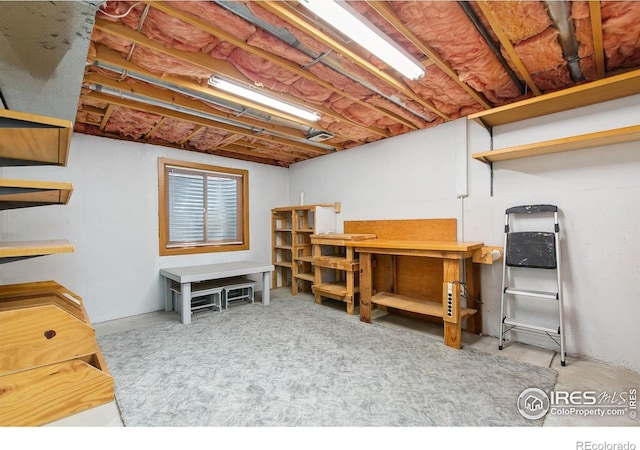 6400 Finch Ct, Fort Collins, CO 80525 - photo 22