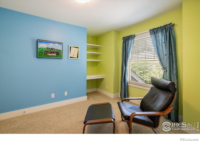5523 Stonewall Pl, Boulder, CO 80303 - living area with carpet, baseboards, and a desk