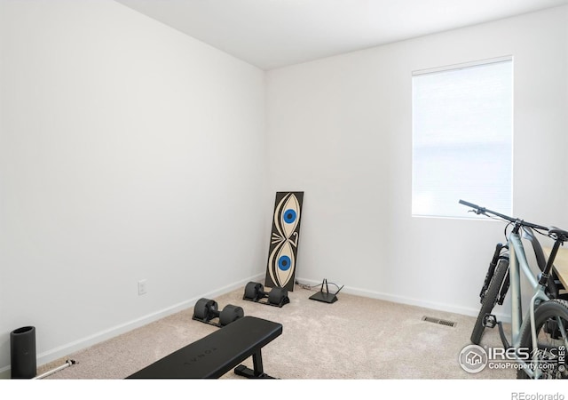 exercise room featuring carpet and baseboards