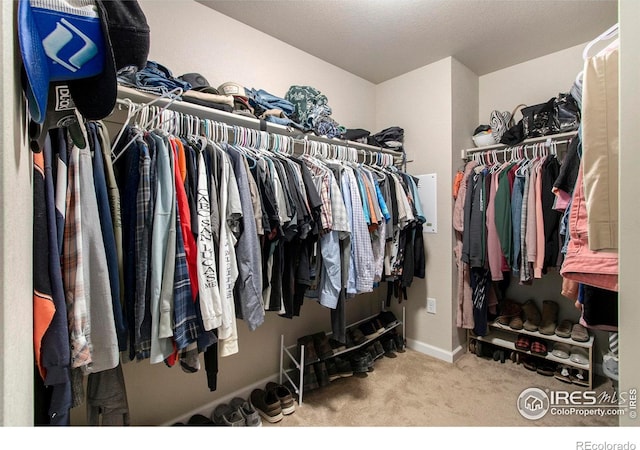walk in closet with carpet floors