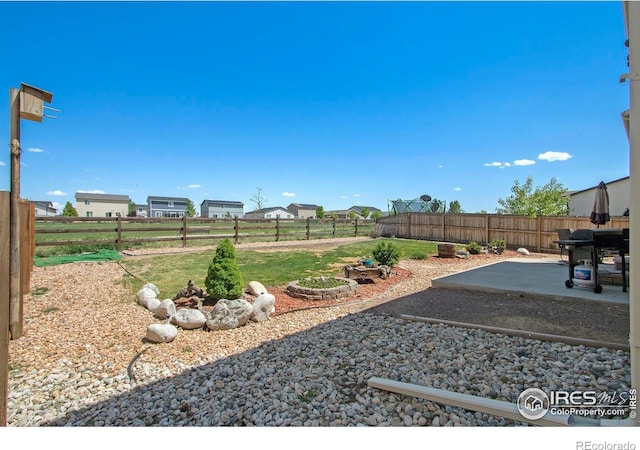 view of yard featuring a patio