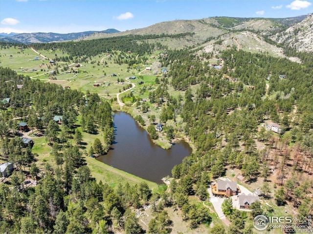 457 Spruce Mountain Dr, Drake, CO 80515 - aerial view of property's location with a water and mountain view