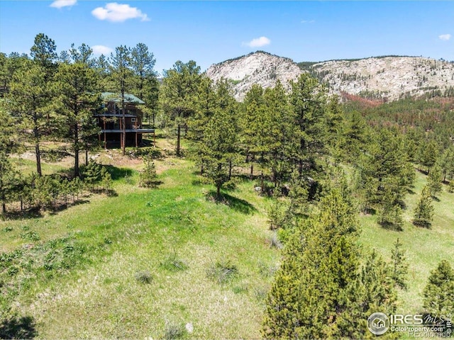 457 Spruce Mountain Dr, Drake, CO 80515 - view of mountain backdrop featuring a forest