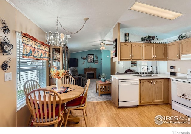 kitchen featuring white appliances, a sink, open floor plan, light wood-style flooring, and light countertops